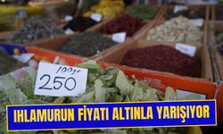 Fiyatı bir yılda 5 kat arttı