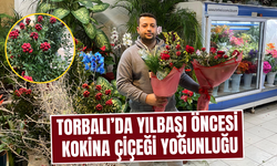 Kokina çiçeğine yoğun talep