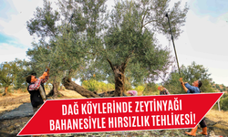 Dağ köylerinde hırsızlık şüphesi