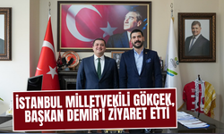 İstanbul Milletvekili Gökçek, Başkan Demir’i Ziyaret Etti