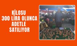Doyumluk değil tadımlık…