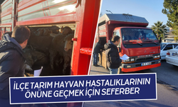 Torbalı’da hayvan giriş çıkışları kontrol altında