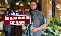 İlk Hasat Fiyatları Cep Yakıyor