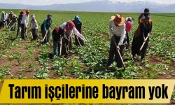 Tarım işçilerine 1 Mayıs’ı çalışarak geçirdi
