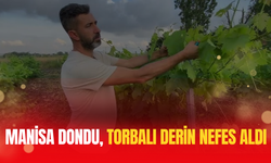 Torbalı'da Üzüme Don Darbesi Yok!