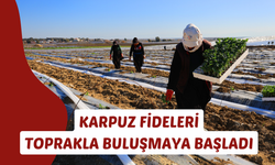 Bu yıl rekor üretim gerçekleşecek