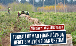 Yanan alanlar yeniden yeşeriyor