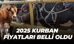 Kurbanlık Fiyatları El Yakıyor: Torbalı’da Bayram Öncesi Hareketlilik Başladı