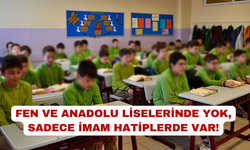 Mevzuat eliyle yönlendirme
