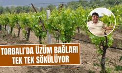 Üretici alternatif ürünlere yöneliyor