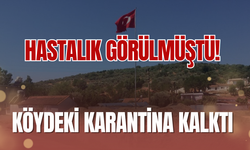 Karantina Kaldırıldı, Hayvancılık Yeniden Başladı!