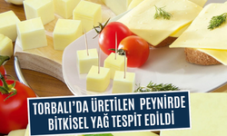 Tost peynirinde bitkisel ürün çıktı