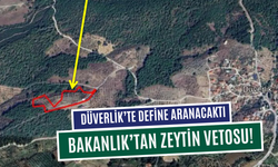 Define aramaya zeytin vetosu!