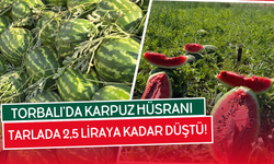 Torbalı’da Karpuz Tarlada Kaldı: Üretici Dertli, Tüketici Mutlu