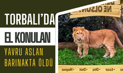 Adını, İzmirliler koymuştu!