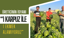 Karpuz 1 TL'ye düştü!