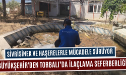 Sivrisinek ve haşerelerle mücadele sürüyor