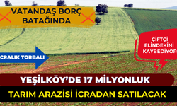 Yeşilköy’de Tarla Satışa Çıkıyor