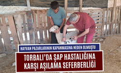 Torbalı’da Şap Hastalığına Karşı Aşılama Seferberliği