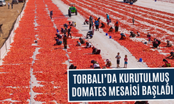 Torbalı’dan Amerika’ya uzanan lezzet: Kuru domates rekor kırıyor