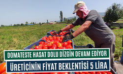 Hasat doludizgin devam ediyor