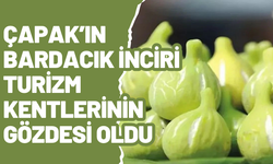 Rekolte Düşük Ama Talep Zirvede
