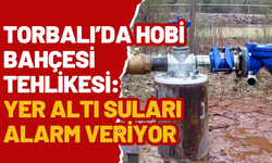 Bini aşkın proje, 20 bini aşkın bahçe... Her biri bir sondaj kuyusu!