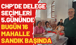 CHP'de delege seçimleri hızla devam ediyor