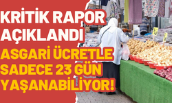 Asgari ücretle sadece 23 gün yaşanabiliyor!