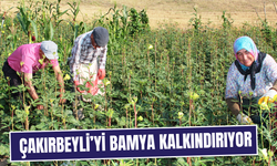 Köy ekonomisine büyük katkı sağlıyor