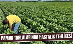Üretici hastalıklara karşı seferber oldu