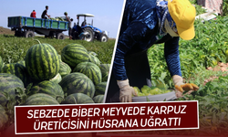 Torbalı'da Biber ve Karpuz Üreticisini Hüsrana Uğrattı