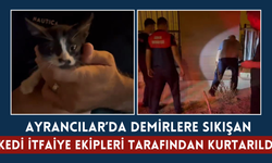 Demirlere Sıkışan Kedi İtfaiye Ekipleri Tarafından Kurtarıldı