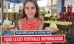 Eşsiz lezzet festivalle duyurulacak