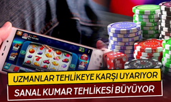 Sanal kumar felaketi: "Seferberlik ilan edilmeli"
