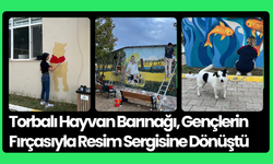 Torbalı Hayvan Barınağı, Gençlerin Fırçasıyla Resim Sergisine Dönüştü