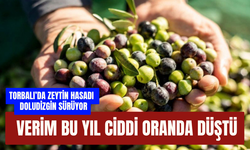 Yağmur az yağdı, verim düştü