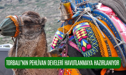 Torbalı'da havutlama törenleri önümüzdeki hafta başlıyor