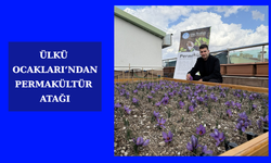 Ülkü Ocakları'ndan permakültür projesi