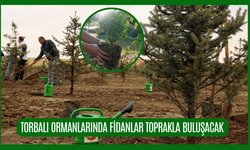 Fidanlar toprakla buluşacak