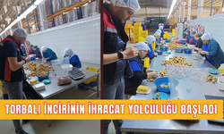 Torbalı incirinin ihracat yolculuğu başlıyor