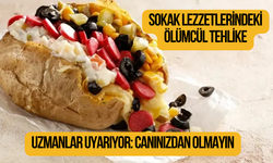 Sokak lezzetlerindeki zehirlenme riski!