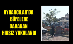 Büfe Hırsızı Jandarmadan Kaçamadı