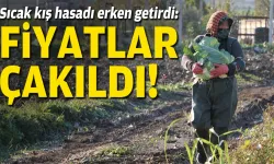 Sıcak kış hasadı erken getirdi: Fiyatlar çakıldı!