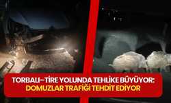 Gecenin Sessiz Tehlikesi: Torbalı–Tire Yolunda Domuz Çıkmazı