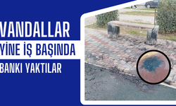 Bankı ateşe verdiler