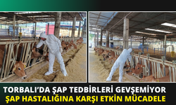 Torbalı’da Şap Aşılaması Hız Kesmeden Devam Ediyor