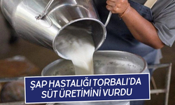 Şap Hastalığı Torbalı’da Süt Üretimini Vurdu