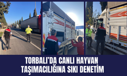 Torbalı’da Canlı Hayvan Taşımacılığına Sıkı Denetim