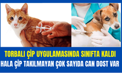 Torbalı Çip Uygulamasında Sınıfta Kaldı